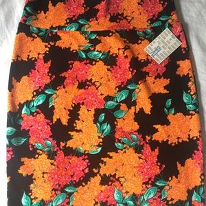 GORGEOUS LuLaRoe Cassie Skirt Size XL